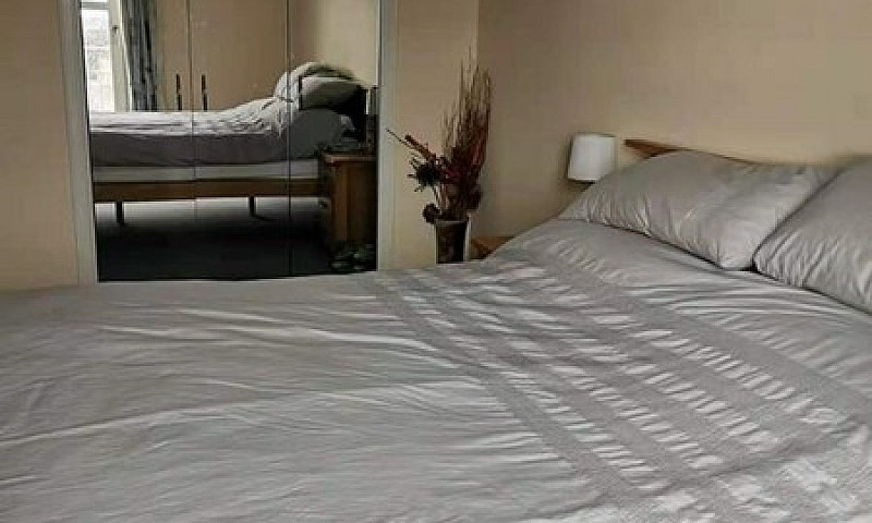 1 Bedroom In Queens ...