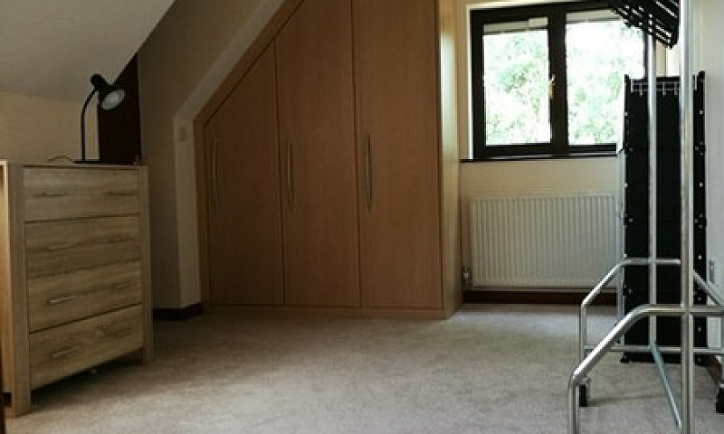1 Bedroom In Duncan ...