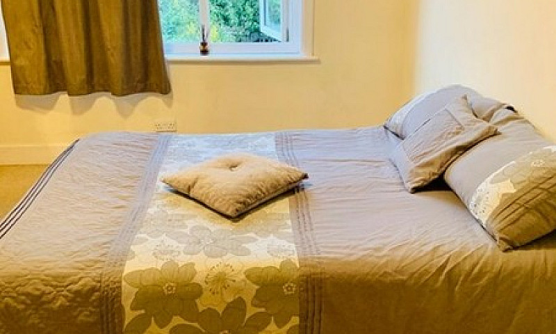 1 Bedroom In Ashley ...