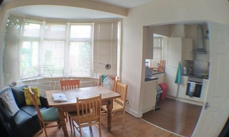 1 Bedroom In Queens ...