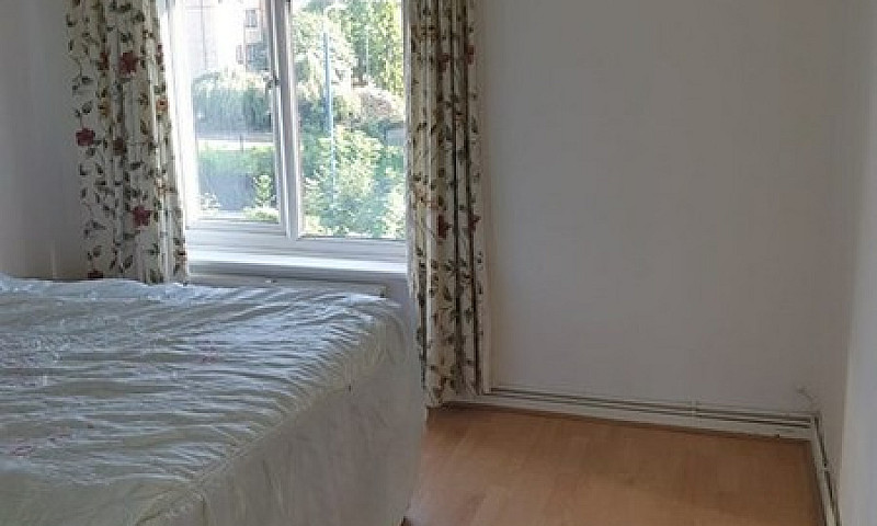 3 Bedroom House In T...