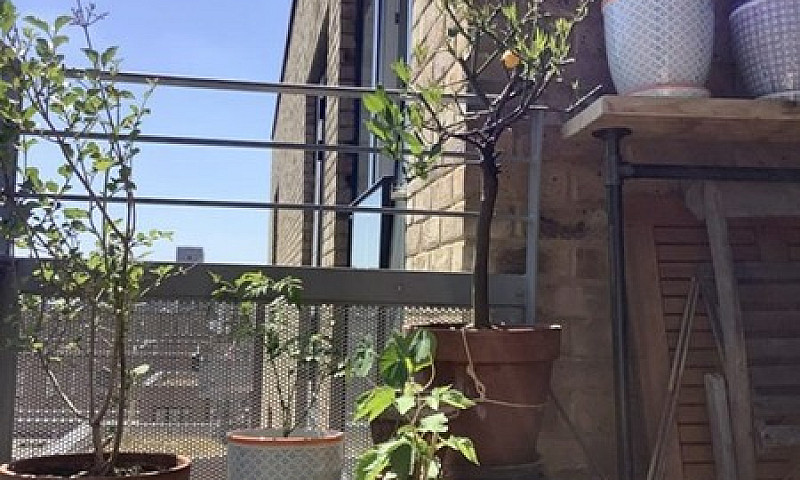 1 Bedroom Flat In No...