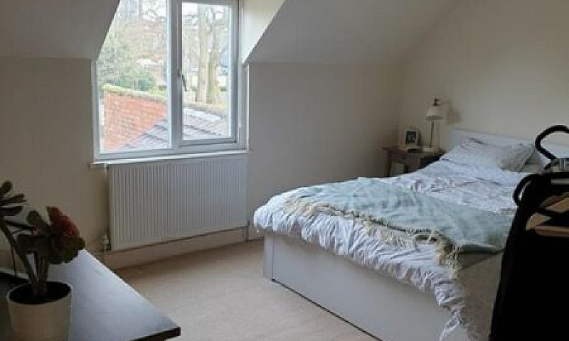 5 Bedroom House In H...