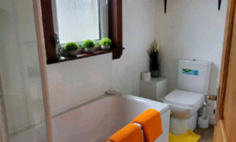 Contractor Short Ter...