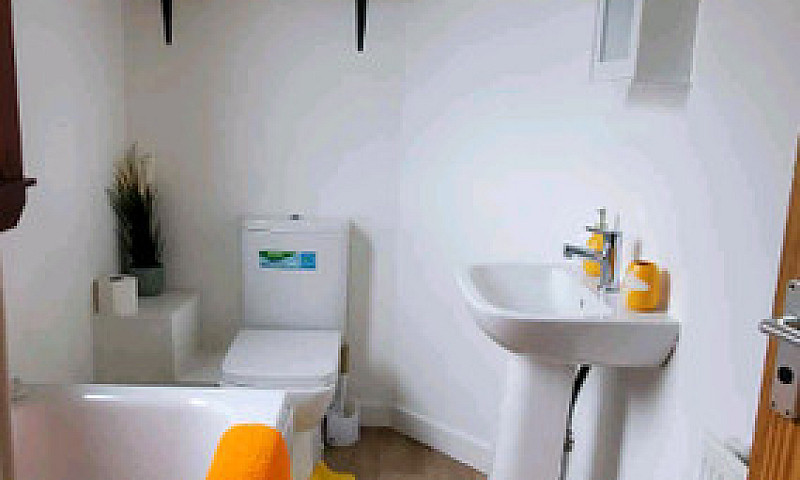Contractor Short Ter...