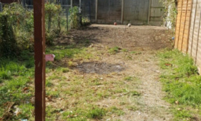 3 Bed House For Rent...