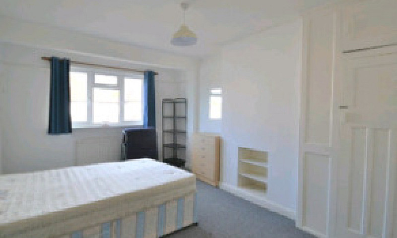 Medium Room In Prest...