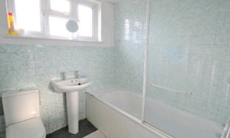 Medium Room In Prest...