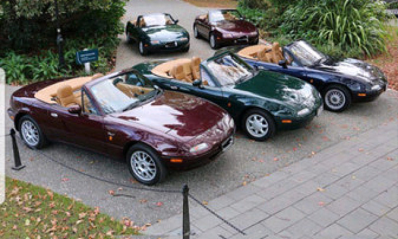 ●We Buy All Mazda Mx...