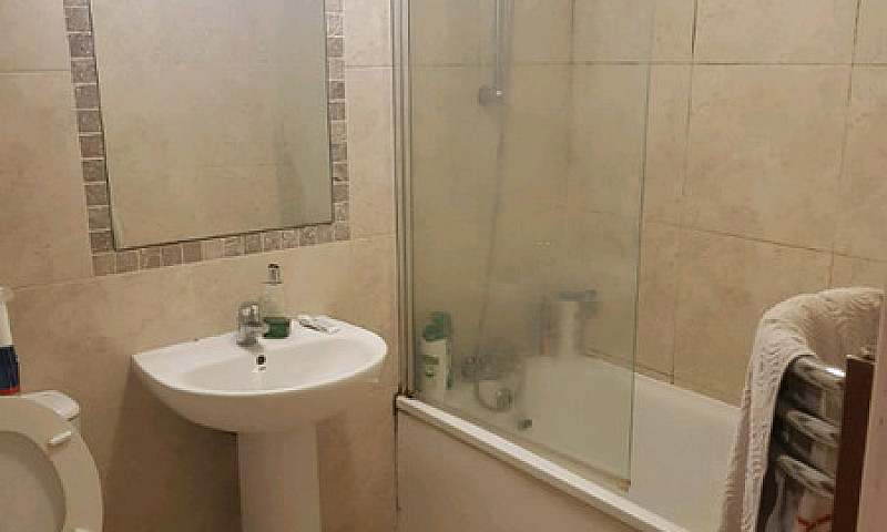

1 Double Room In A...