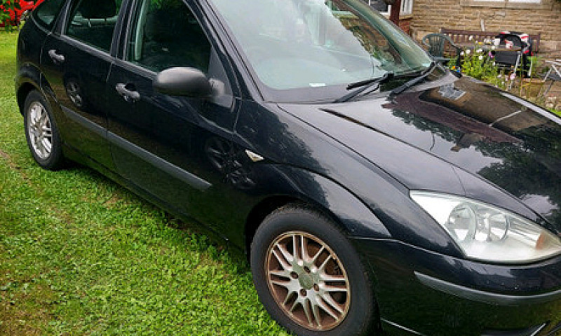 2002 Focus...