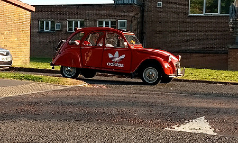 Looking A Car For Ar...