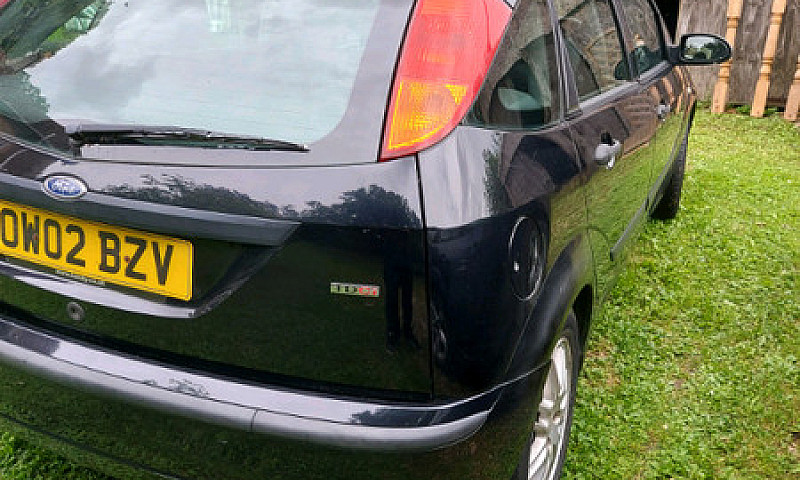 2002 Focus...