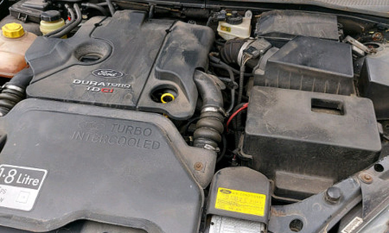 2002 Focus...