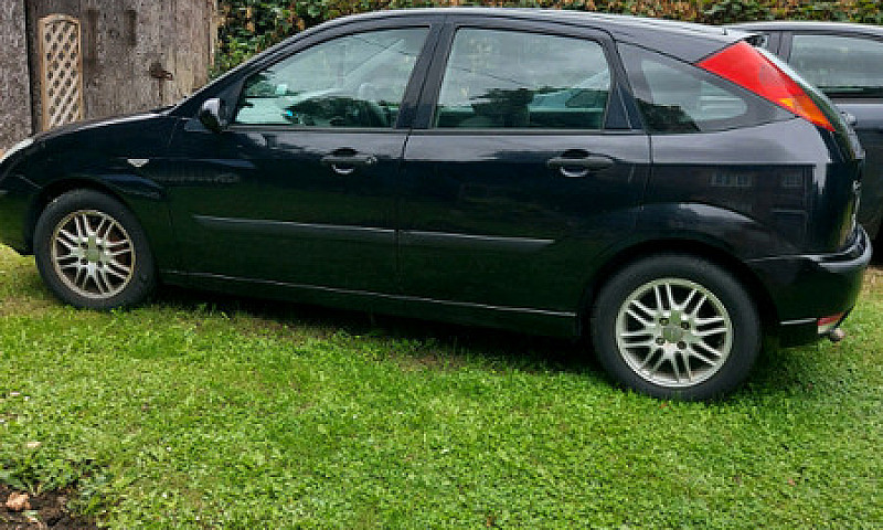 2002 Focus...