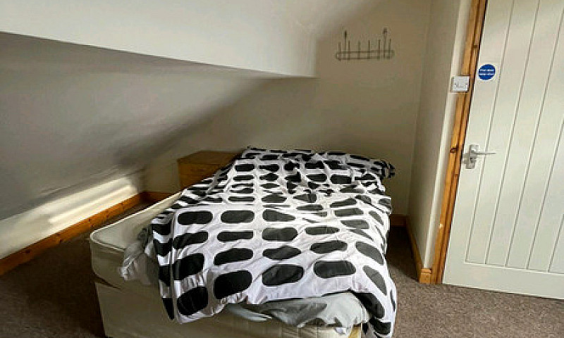 Rooms And Houses To ...