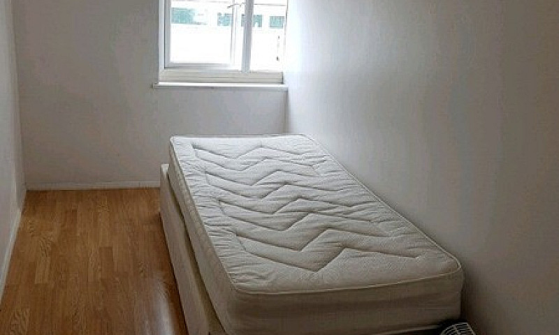 Spacious 2 Bedroom F...