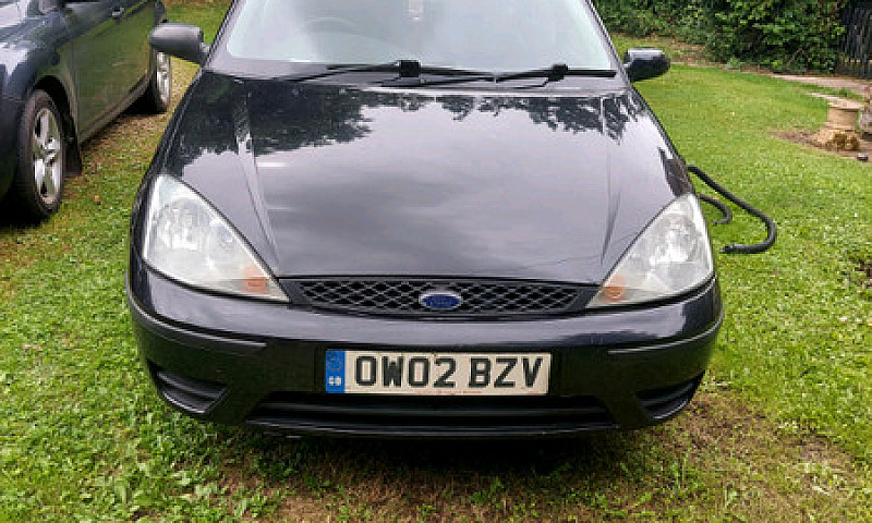 2002 Focus...