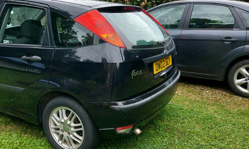 2002 Focus...