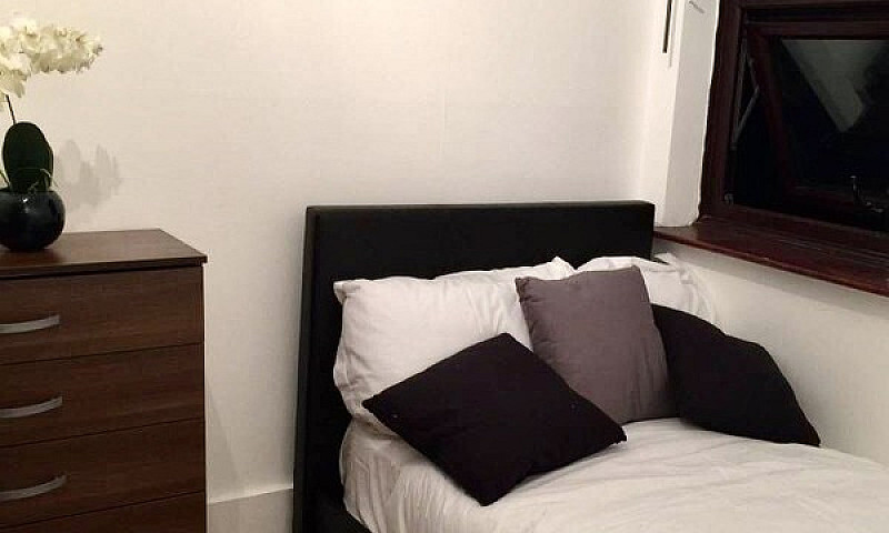 Rent Single Room In ...