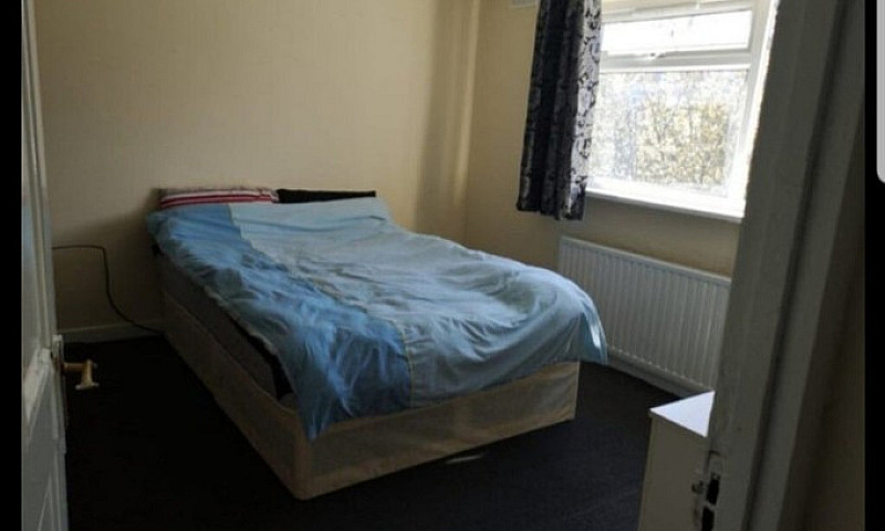 Specious Double Room...