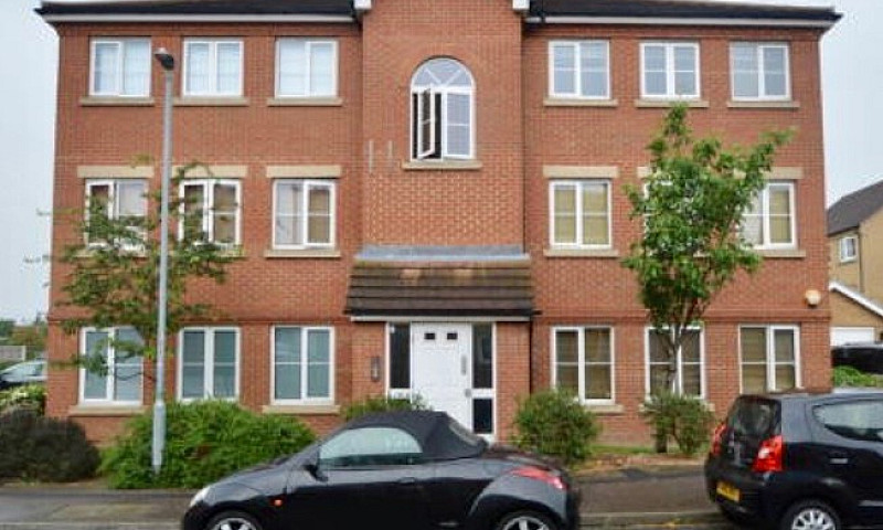 Flat To Let...