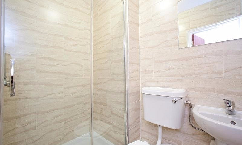 Large Studio Swiss C...