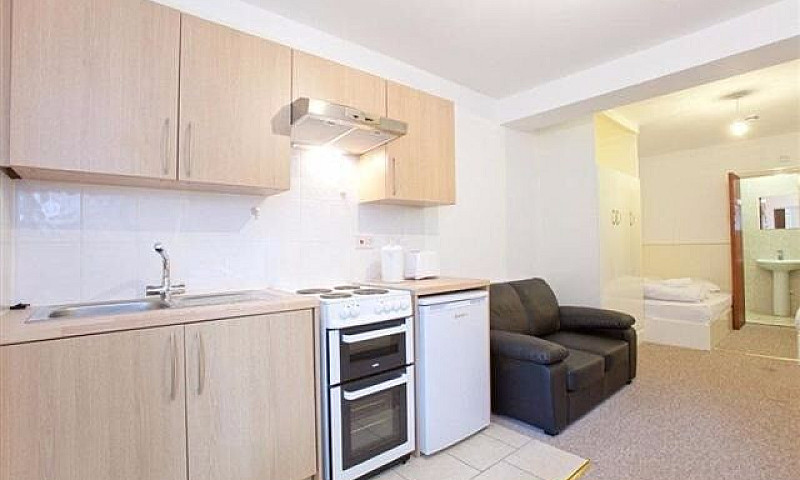 Large Studio Swiss C...