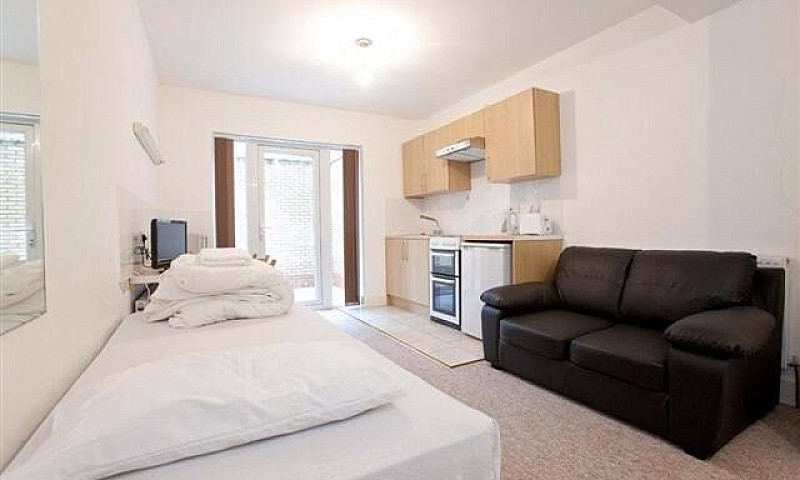 Large Studio Swiss C...