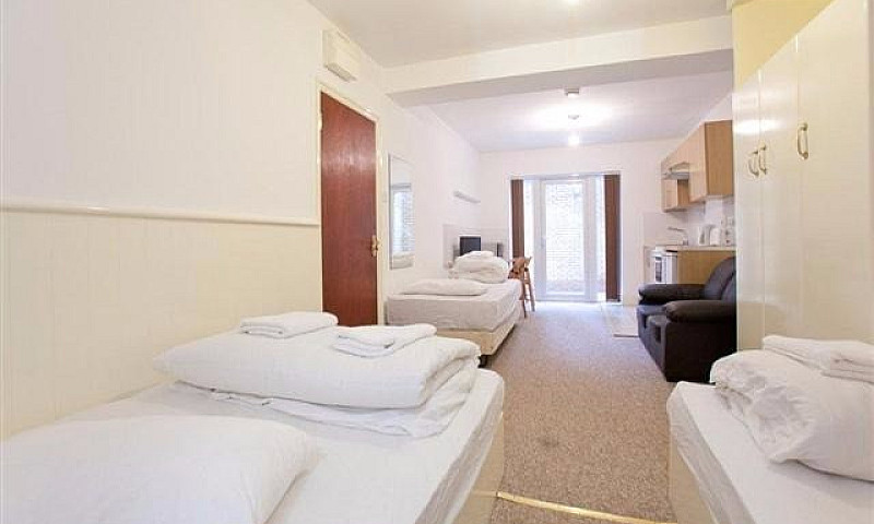 Large Studio Swiss C...