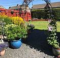 Must See! 3 Bedroom House 