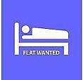 One Bed Flat Wanted 