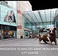 Accommodation 10 Mins Away From Birmingham City Centre!