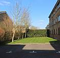 Superb 1 Bedroom Garden Flat With Free Parking Near Train & Zone 2 Night Tube, 24 Hour Buses & Shops