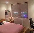 1 Bed Flat -Tulse Hill/ Brixton