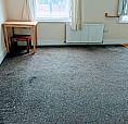 Newly Refurbished One Bed Flat To Rent In Manor Park, Ilford, East Ham