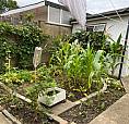 4 Bedroom House Driveway Garage, Garden In Kenton Near  Kenton Rd And Queensbury Round About  