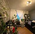 Room To Let