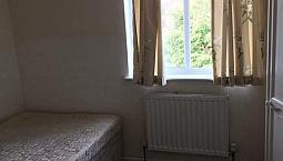 Room For Rent