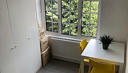 To Rent