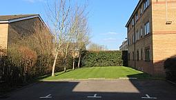Superb 1 Bedroom Garden Flat With Free Parking Near Train & Zone 2 Night Tube, 24 Hour Buses & Shops