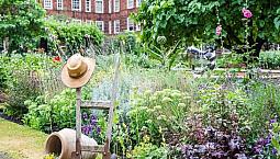 Furnished Studio Long Let In Sw1 Access To Huge Garden