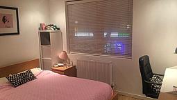 1 Bed Flat -Tulse Hill/ Brixton