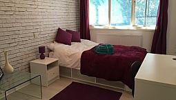 Large, Gorgeously Decorated One Bedroom Shared Apartment (Room To Rent) In Tottenham N17