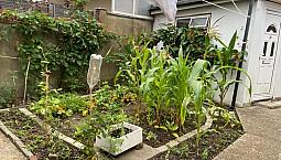 4 Bedroom House Driveway Garage, Garden In Kenton Near  Kenton Rd And Queensbury Round About  
