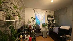 Room To Let