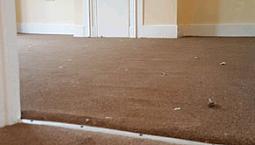 3 Bed House For Rent In Market Street Eastham E6