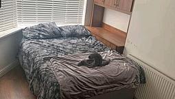 Single Bed Room For Rent